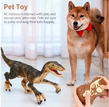 Remote Control Dinosaur Toys for Kids ,Walking Roaring Velociraptor, 2.4Ghz Electronic Realistic RC Dinosaur with 3D Eyes & Ligh