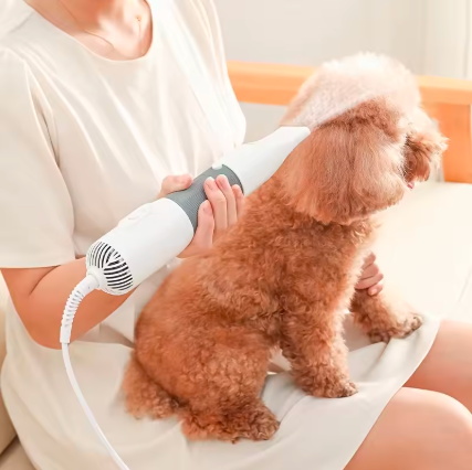 3 In 1 Pets Hair Dryer Brush Comb  for Dog Cat Kitten Puppy Fur Grooming with Adjustable Gears Wind Speed Control Mute